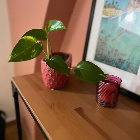 Apartamento Coeur De